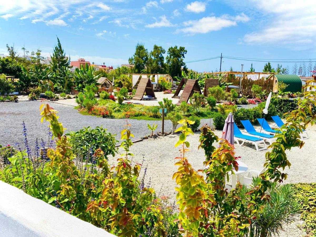 Arrebol Suite Con Jacuzzi, Piscina Y Naturaleza Buzanada Ngoại thất bức ảnh